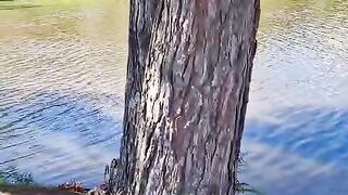 Passeio 6