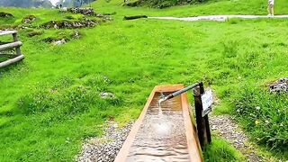 Finding peace in the simplicity of nature.
