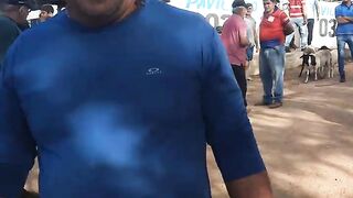 Tata das galinha 2