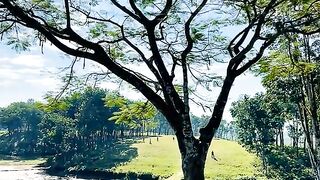 প্রকৃতি🥰❤️🌸