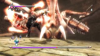 Ninja Gaiden desafio derrotado