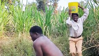Video funny 😅 videos of