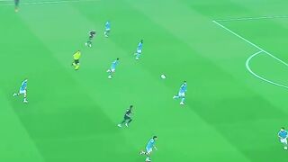 The goal