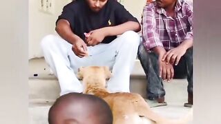 Bizarre News #BizarreNews #Viral 738