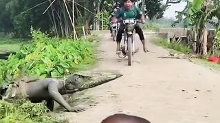 Bizarre News #BizarreNews #Viral 745