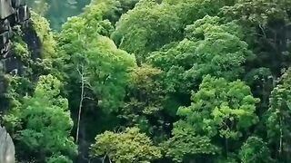 Bukit