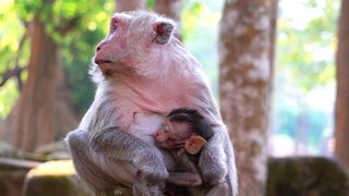 WILDLIFE 144