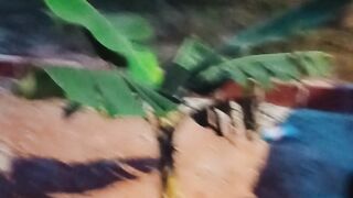 Eu mostrando a frente da minha casa.