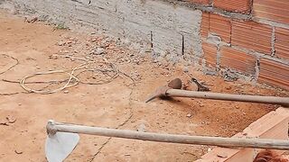 Construindo meu quarto e minha cozinha 🏡🔨✨