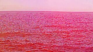 Sea view 13