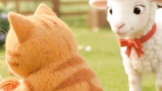 Buffalo Laughed At The Angry Cat… Instantly Regretted It 😂🐂😾"
