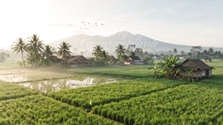 View In Vilage Indonesia Beautifull View