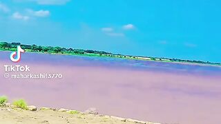 Tik Tok Video 92