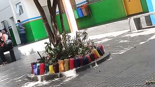 Constituição racial