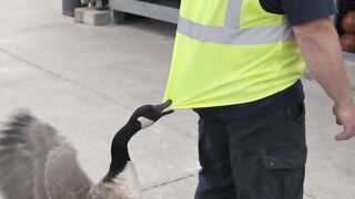 GANÇO QUER SOUTAR SEU FILHO