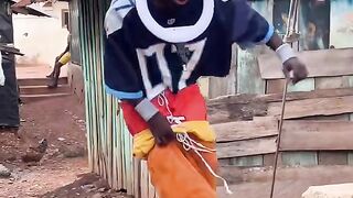 afican dripper