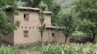 Hidden Beauty of Village Life 🌿 | A Peaceful Rural Journey