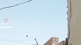 Sidarjutti