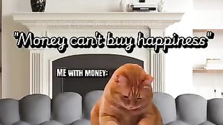 Funny clip 159