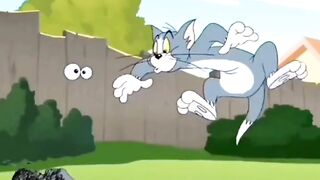 Tom Chases Jerry… Then a RABBIT Changes Everything! 😂🐰
