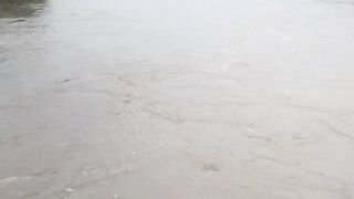 River 29