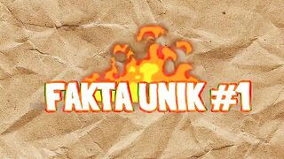 Fun Fact 1 #fakta