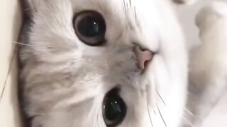 😍😍 3