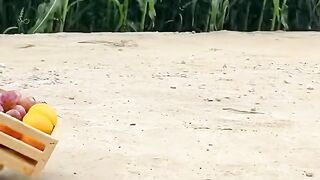 Cute Monkey Baby 2