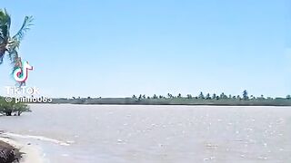 natureza 4