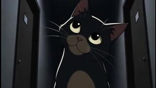 The Cat That Started Talking at Night… and What It Said Will Haunt You