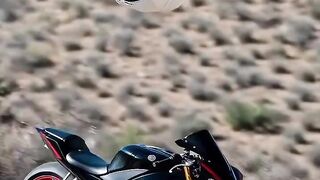 Motoflogsaikcle