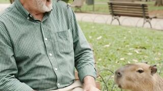 A capivara