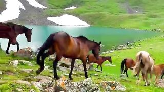 breathtaking landscapes HD_satisfying nature clips,