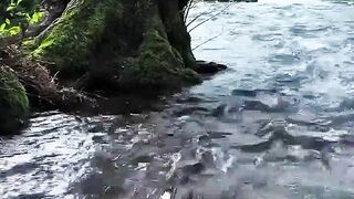 4K cinematic nature,