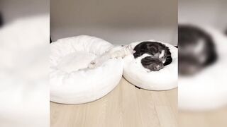 ❤️❤️ 애들이 건강하게만 자라????????