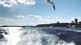 Nature Birds