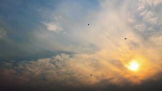 Basant