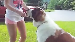 Huge Dog