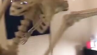 Random memes I found on TikTok pt.10