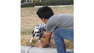 Top Greatest Magic Tricks-6