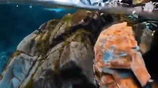 nature video | stunning nature | subscribe
