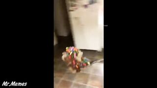 BEST MEMES COMPILATION 2022 Try Not To Laugh_Memes Funny Videos