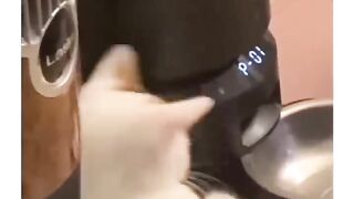 Funny animal videos I found on Instagram and tiktok