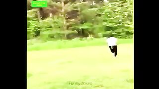 Best funny video 2023