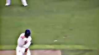 Cricket_tik_tok_videos