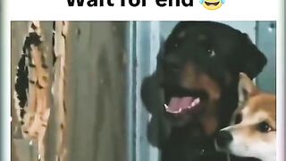 Bila khairat mangan aya te sare dar gaye