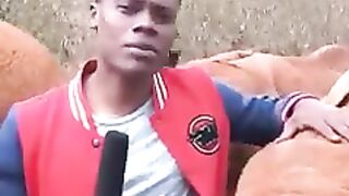 BUZZ SUR LE NET