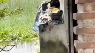 ১৬ বছর বয়সে বাবা হারা অন্ধ মাকে নিয়ে কিভাবে কাটছে জীবন!