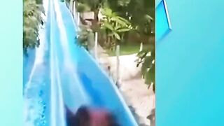 Bizarre News #BizarreNews #Viral 761
