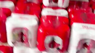 Bebidas brasilheira brazil